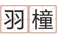 徐羽橦问生谏-名字测试评分