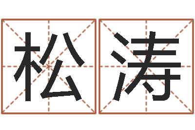 郑松涛易命道-姓名打分软件