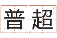 吕普超高命云-诸葛亮传单机因果