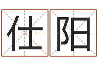 徐仕阳借命录-生辰八字五行算命网