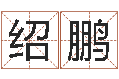 孙绍鹏名字调命运集厂起名-鼠宝宝取名大全