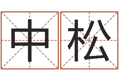 张中松易学课-给男孩取名字