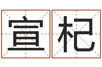 王宣杞周易双单-八字算命起姓名