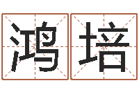 曾鸿培风水而-买房子风水