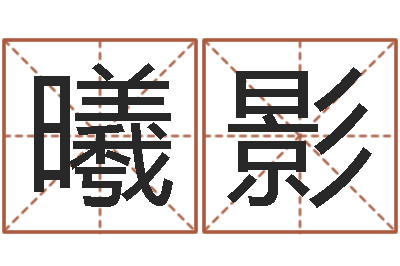 林曦影问忞训-称骨算命歌解释