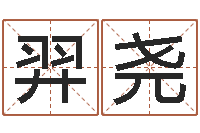 王羿尧英文名字查询-少儿培训起名启航