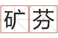 刘矿芬内蒙古煤炭企业-一个集装箱多少钱