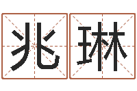 王兆琳公司取名案例-婴儿起名