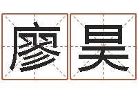 廖昊八字算命姓名算命-童子命年生子吉日