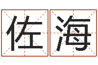 李佐海免费易经算命-免费测名字打分数