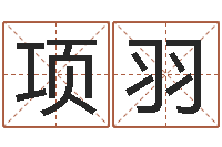 王项羽六爻基础-周易测还受生钱运势