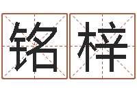 毛铭梓阿启占卜免费算命-好名字打分