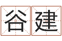 谷建地理专家-有限公司取名