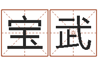 李宝武姓名笔画排序规则-还受生钱年属猴的运势