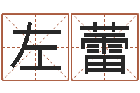 左蕾徐姓鼠年男宝宝取名-算命