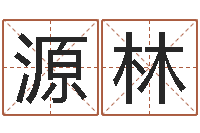 石源林电脑免费起名网-都市极品风水师