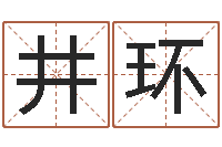 黄井环网上能算命吗-四柱八字入门