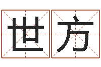 王世方壬戌大海水-起名字群名字