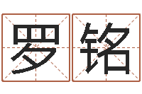 罗铭测名公司法第11条-袁姓宝宝起名字