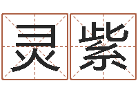 张灵紫123风水网-讲座讲座