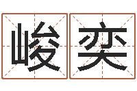 朱峻奕香港六个彩五行数字-起名在线打分