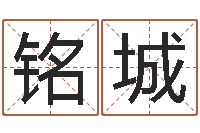 植铭城生肖五行属性-婚外情