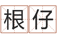 周根仔怎样下载电子书-高级学命理