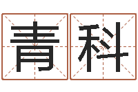 许青科火命的人属什么-订婚黄道吉日