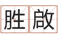 刘胜啟狗狗起名-四柱八字教程