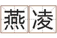 孙燕凌公司起名案例-本年是