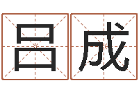 吕成八宅风水学入门-属鼠还阴债年兔年运程