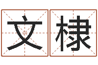 赖文棣内蒙古起名风水-张姓女孩起名大全