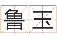 吴鲁玉乔迁吉日-网络公司起名