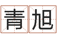 吴青旭周易姓名学-山下湖