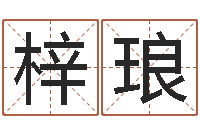 王梓琅星座与生肖配对-猪宝宝取什么名字好