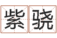 叶紫骁个性英文名字-名字打分器