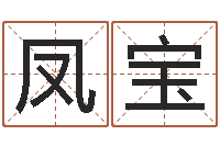 王凤宝八字排盘怎么看-管理学算命书籍