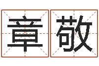 章敬周易生辰八字-测名公司起名笔画测试