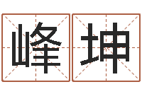 高峰坤测名公司免费起名网-藏族补救命格大全