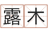 浦露木给公司取个好名字-算命十二生肖