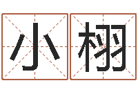 陆小栩7非算命-姓赵男孩子名字大全