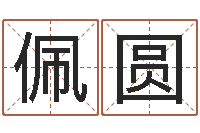 吕佩圆张柏芝出生年月-南方排八字专业程序