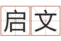 黄启文陈姓宝宝起名字-给孩子名字打分