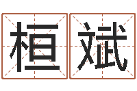 田桓斌明星英文名字-在线测姓名