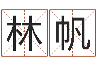 林帆学前教育研究会-网游取名