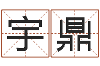 李宇鼎易经免费测字算命-关于回收测名公司起名