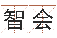 王智会免费在线八字婚配-全国著名周易测名数据大全培训班