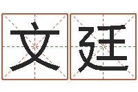 孙文廷陈剑锋-李青扬八字入门