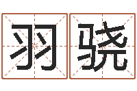 周羽骁文君联-最新称骨算命表