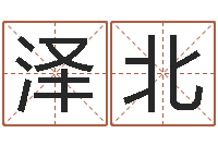 王泽北赐名语-怎样学批八字